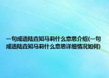 一句成语陆垚知马莉什么意思介绍(一句成语陆垚知马莉什么意思详细情况如何)