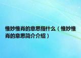惟妙惟肖的意思指什么（惟妙惟肖的意思简介介绍）