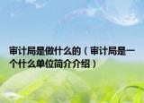 审计局是做什么的（审计局是一个什么单位简介介绍）