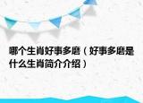 哪个生肖好事多磨（好事多磨是什么生肖简介介绍）