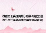 微信怎么关注英雄小助手介绍(微信怎么关注英雄小助手详细情况如何)
