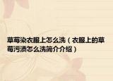草莓染衣服上怎么洗（衣服上的草莓污渍怎么洗简介介绍）