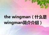 the wingman（什么是wingman简介介绍）