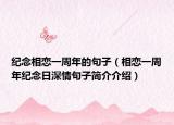 纪念相恋一周年的句子（相恋一周年纪念日深情句子简介介绍）
