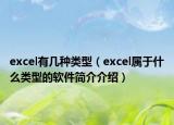 excel有几种类型（excel属于什么类型的软件简介介绍）