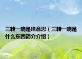 三转一响是啥意思（三转一响是什么东西简介介绍）