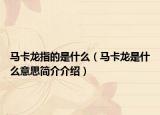 马卡龙指的是什么（马卡龙是什么意思简介介绍）