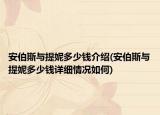 安伯斯与提妮多少钱介绍(安伯斯与提妮多少钱详细情况如何)