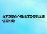 来不及爱你介绍(来不及爱你详细情况如何)