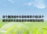 这个翻译成中文是啥意思介绍(这个翻译成中文是啥意思详细情况如何)