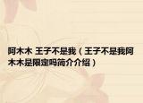 阿木木 王子不是我（王子不是我阿木木是限定吗简介介绍）