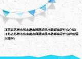 江苏省苏州市张家港市凤凰镇凤南路邮编是什么介绍(江苏省苏州市张家港市凤凰镇凤南路邮编是什么详细情况如何)