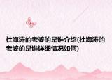 杜海涛的老婆的是谁介绍(杜海涛的老婆的是谁详细情况如何)