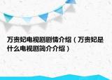 万贵妃电视剧剧情介绍（万贵妃是什么电视剧简介介绍）
