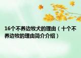 16个不养边牧犬的理由（十个不养边牧的理由简介介绍）