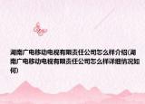 湖南广电移动电视有限责任公司怎么样介绍(湖南广电移动电视有限责任公司怎么样详细情况如何)