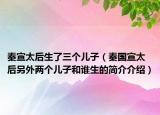 秦宣太后生了三个儿子（秦国宣太后另外两个儿子和谁生的简介介绍）