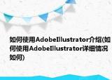 如何使用AdobeIllustrator介绍(如何使用AdobeIllustrator详细情况如何)