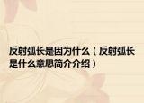 反射弧长是因为什么（反射弧长是什么意思简介介绍）