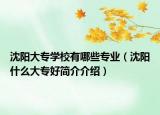 沈阳大专学校有哪些专业（沈阳什么大专好简介介绍）