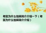 老鼠为什么怕猫简介介绍一下（老鼠为什么怕猫简介介绍）