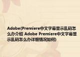 Adobe(Premiere中文字幕显示乱码怎么办介绍 Adobe Premiere中文字幕显示乱码怎么办详细情况如何)