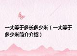 一丈等于多长多少米（一丈等于多少米简介介绍）