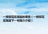 一枝梨花压海棠的意思（一枝梨花压海棠下一句简介介绍）