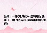 新萧十一郎(神刀花平 结局介绍 新萧十一郎 神刀花平 结局详细情况如何)