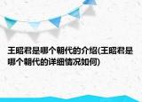 王昭君是哪个朝代的介绍(王昭君是哪个朝代的详细情况如何)