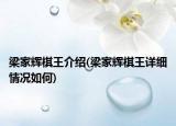 梁家辉棋王介绍(梁家辉棋王详细情况如何)