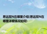 思远双N在哪里介绍(思远双N在哪里详细情况如何)