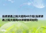 当婆婆遇上妈大结局48介绍(当婆婆遇上妈大结局48详细情况如何)