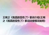 王宛之《我真的受伤了》歌词介绍(王宛之《我真的受伤了》歌词详细情况如何)