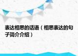 表达相思的话语（相思表达的句子简介介绍）