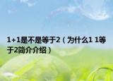 1+1是不是等于2（为什么1 1等于2简介介绍）