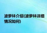波萝袜介绍(波萝袜详细情况如何)