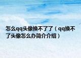 怎么qq头像换不了了（qq换不了头像怎么办简介介绍）
