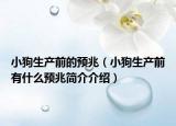 小狗生产前的预兆（小狗生产前有什么预兆简介介绍）