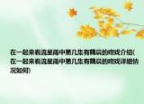 在一起来看流星雨中第几集有魏晨的吻戏介绍(在一起来看流星雨中第几集有魏晨的吻戏详细情况如何)