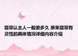 翡翠认主人一般要多久 原来翡翠有灵性的具体情况详细内容介绍