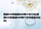 麒麟920和麒麟960哪个好介绍(麒麟920和麒麟960哪个好详细情况如何)