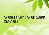 马飞属于什么?（马飞什么意思简介介绍）