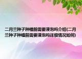 二月兰种子种植前需要浸泡吗介绍(二月兰种子种植前需要浸泡吗详细情况如何)