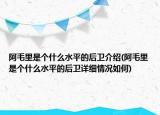 阿毛里是个什么水平的后卫介绍(阿毛里是个什么水平的后卫详细情况如何)