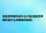 完美世界前传是什么介绍(完美世界前传是什么详细情况如何)