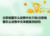 谷歌地图怎么设置中文介绍(谷歌地图怎么设置中文详细情况如何)