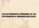 石家庄裕华有哪些城中村(哪租房便宜介绍 石家庄裕华有哪些城中村 哪租房便宜详细情况如何)