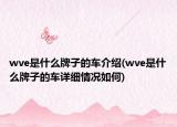 wve是什么牌子的车介绍(wve是什么牌子的车详细情况如何)