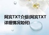 阿宾TXT介绍(阿宾TXT详细情况如何)